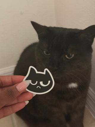 Sassy Cat Vinyl Sticker