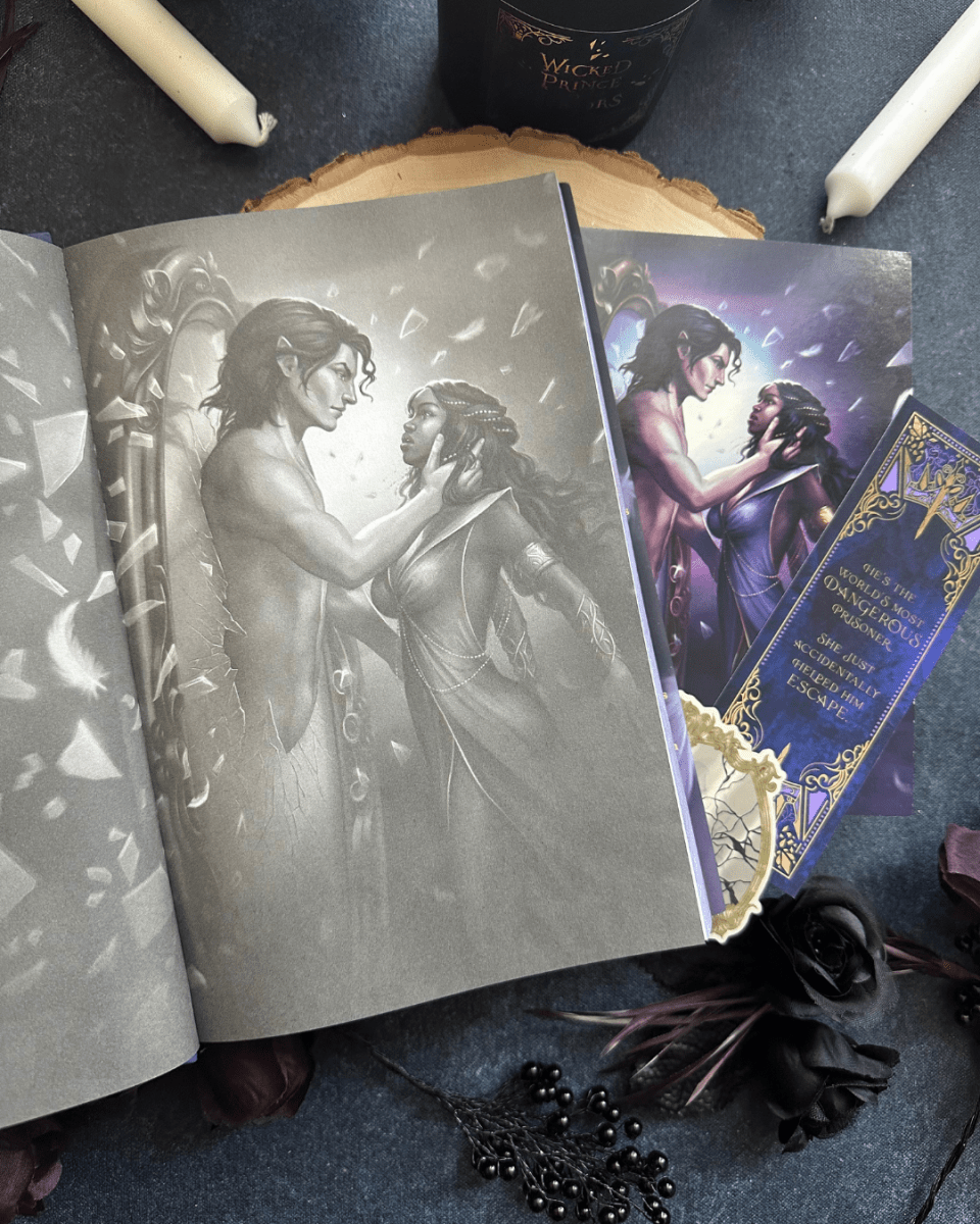 Wicked Prince of Mirrors