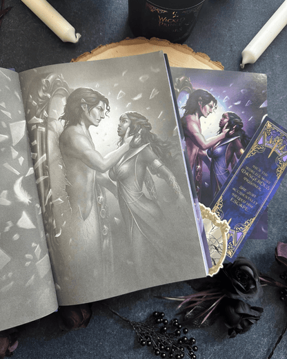 Wicked Prince of Mirrors